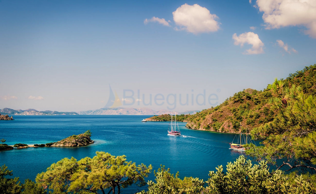 Blue Cruise Quick Hints and Tips