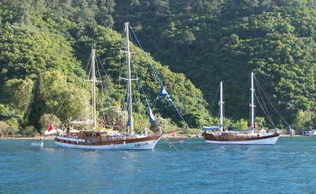 The Gulet Traditional Wooden Sailing Boat